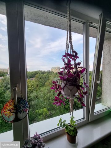 Mieszkanie 2-pokojowe Olsztyn Śródmieście, ul. Gabriela Narutowicza. Zdjęcie 1