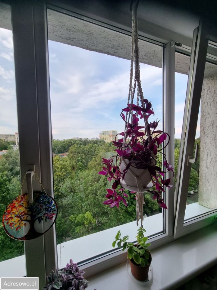 Mieszkanie 2-pokojowe Olsztyn Śródmieście, ul. Gabriela Narutowicza