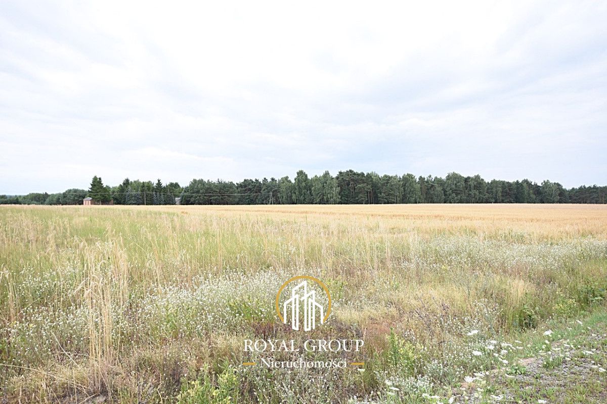 Działka siedliskowa Górka. Zdjęcie 2