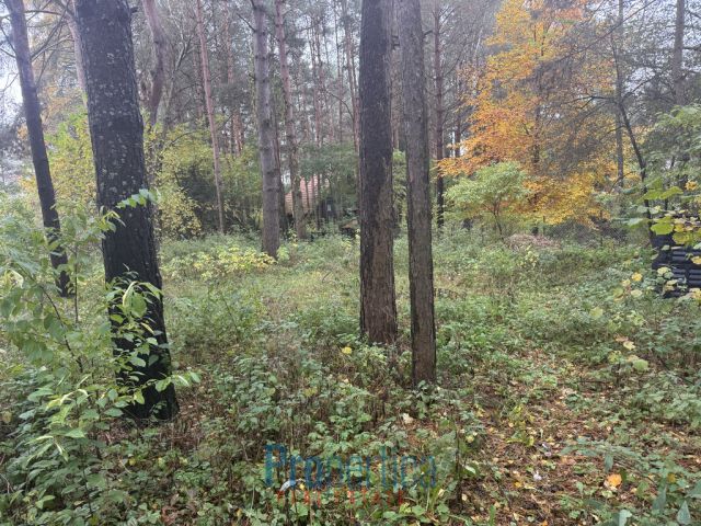 dom wolnostojący, 3 pokoje Natać Wielka. Zdjęcie 16