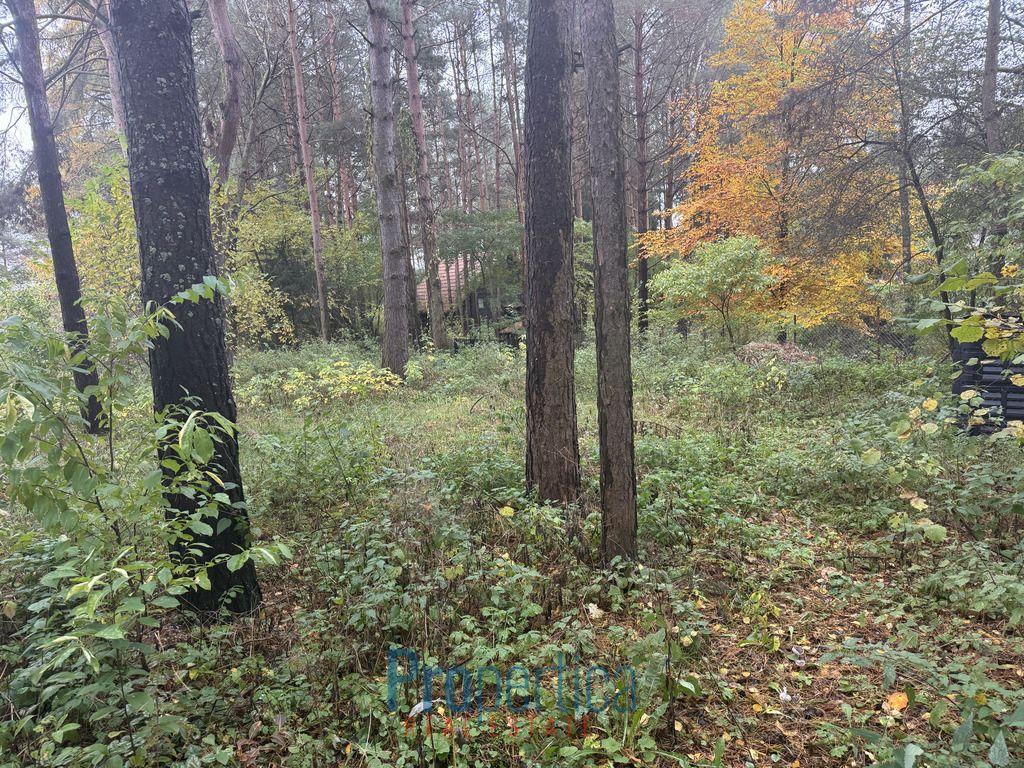 dom wolnostojący, 3 pokoje Natać Wielka. Zdjęcie 16