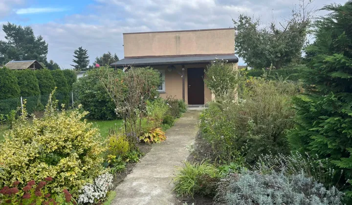 Działka rod Kalisz, ul. Pogodna