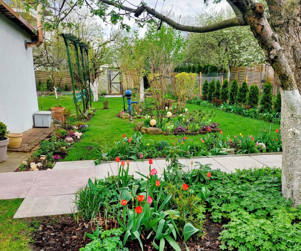 Działka rod Opole. Zdjęcie 3