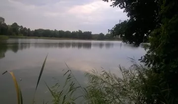 Działka na sprzedaż bez pośredników Jarczechowo - Więcej