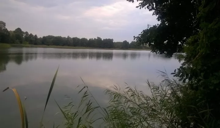 Działka budowlana Jarczechowo