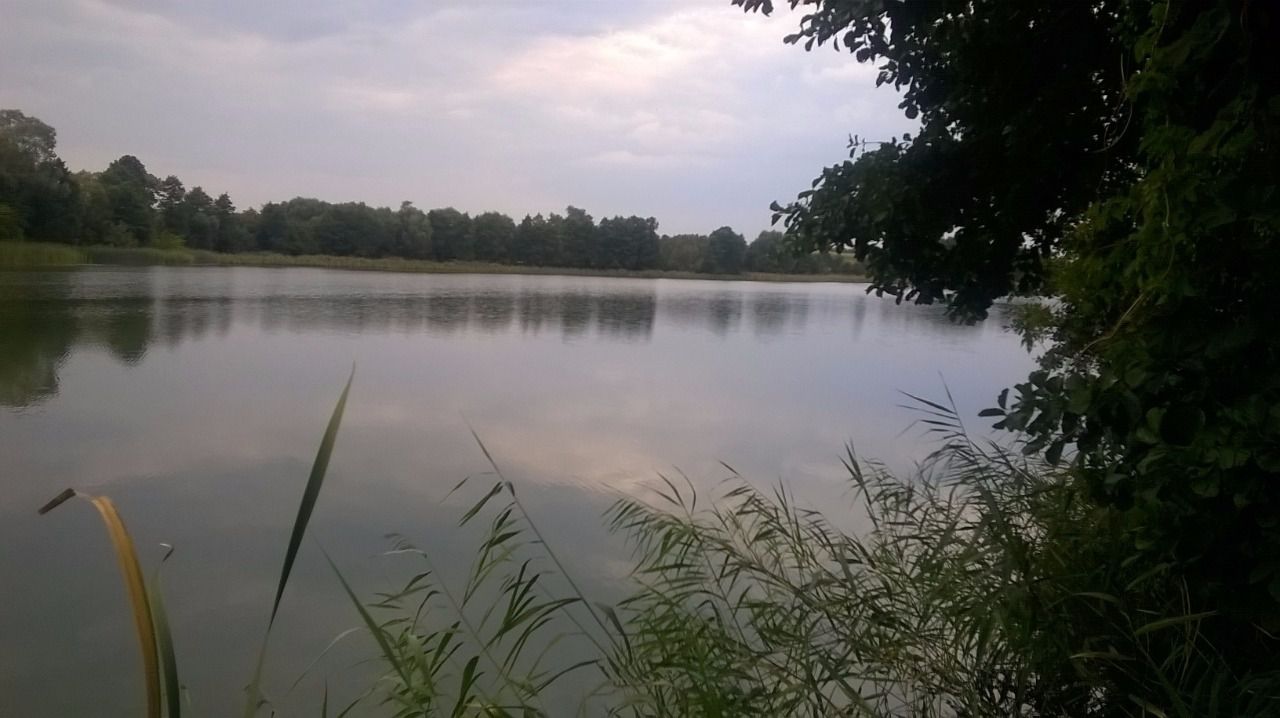 Działka budowlana Jarczechowo. Zdjęcie 1