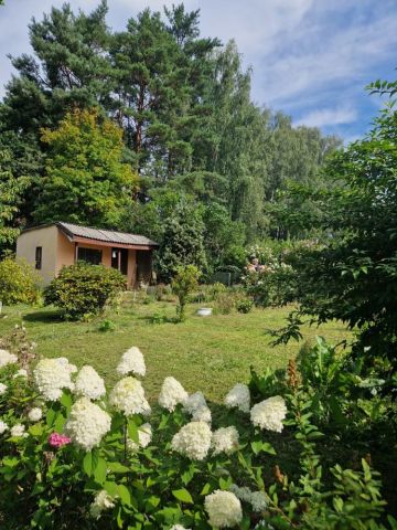 Działka rekreacyjna Zielona Góra. Zdjęcie 1