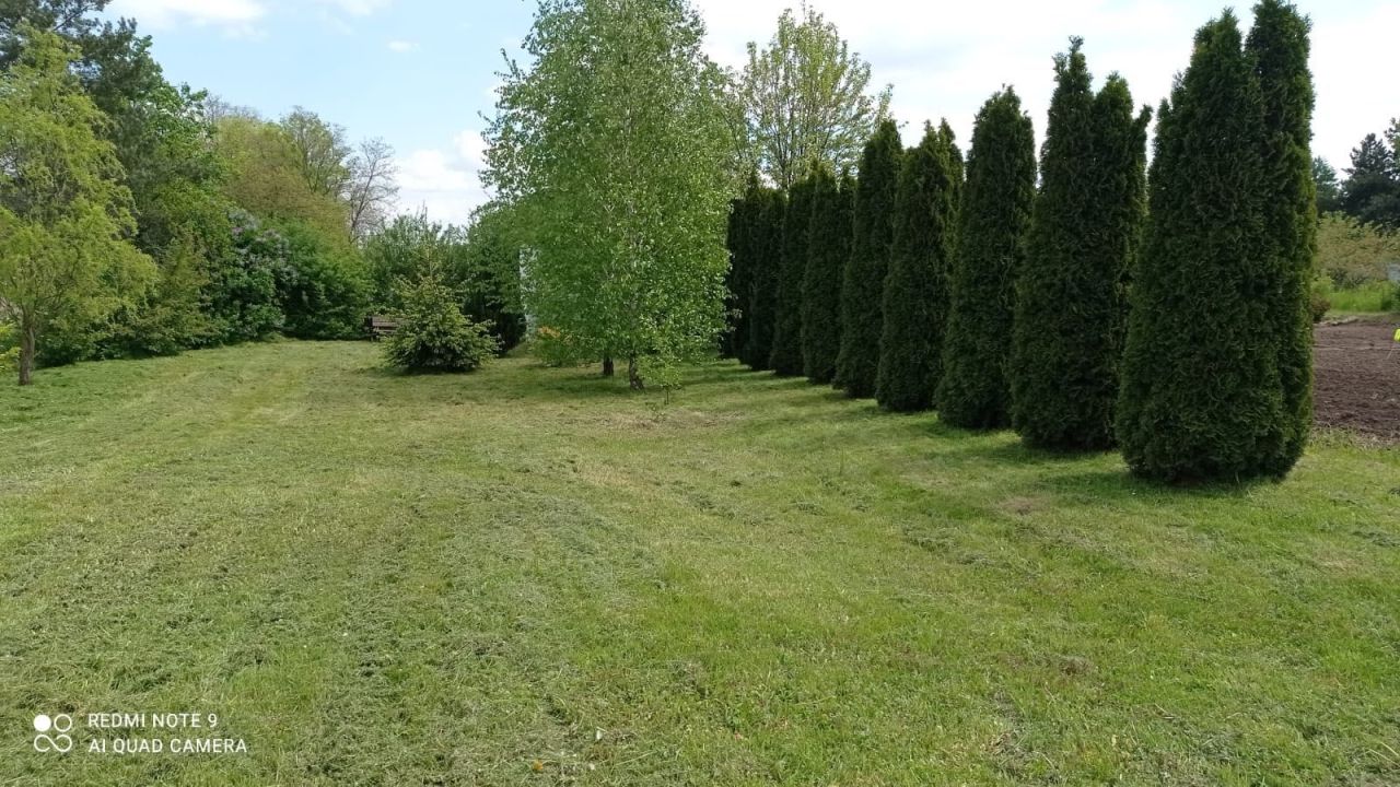 Działka rekreacyjna Borek Strzeliński. Zdjęcie 3