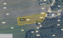 Działka budowlana Dudowizna. Zdjęcie 2