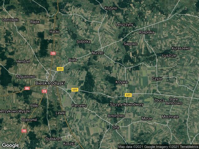 Działka leśna Ogrodniki. Zdjęcie 1