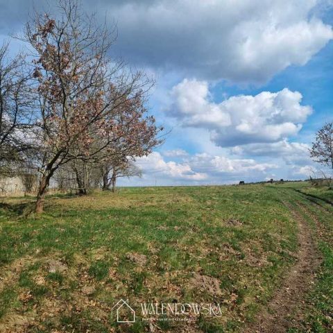 Działka siedliskowa Łabiszewo. Zdjęcie 4