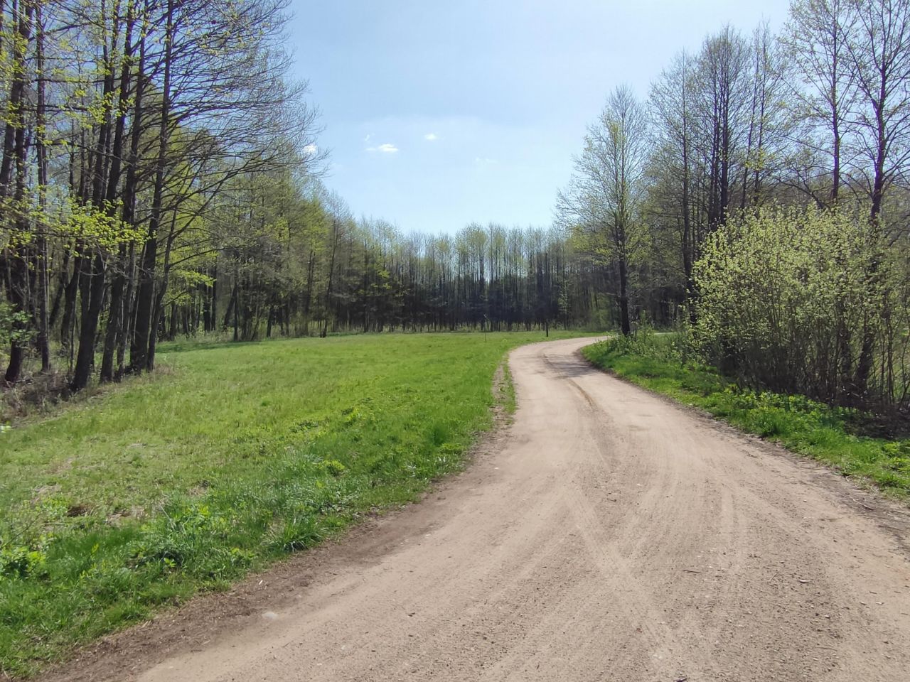 Działka rekreacyjna Wólka Piaseczna. Zdjęcie 8