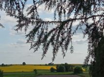 siedlisko Szudziałowo. Zdjęcie 2