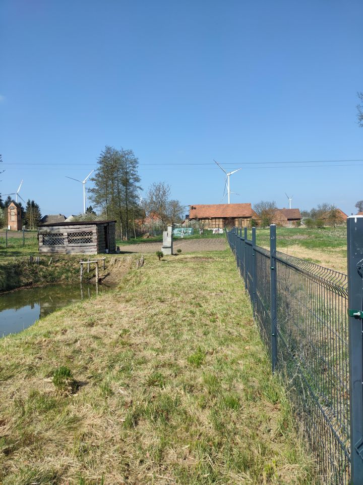 Działka rolna Trzebórz. Zdjęcie 13