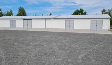 Hala/magazyn Babimost, ul. Sulechowska