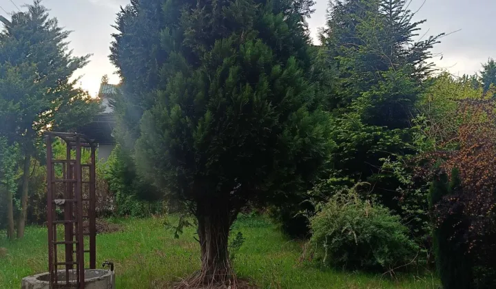 Działka rod Sosnowiec Pogoń