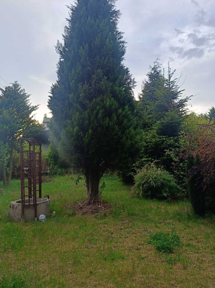 Działka rod Sosnowiec Pogoń. Zdjęcie 1