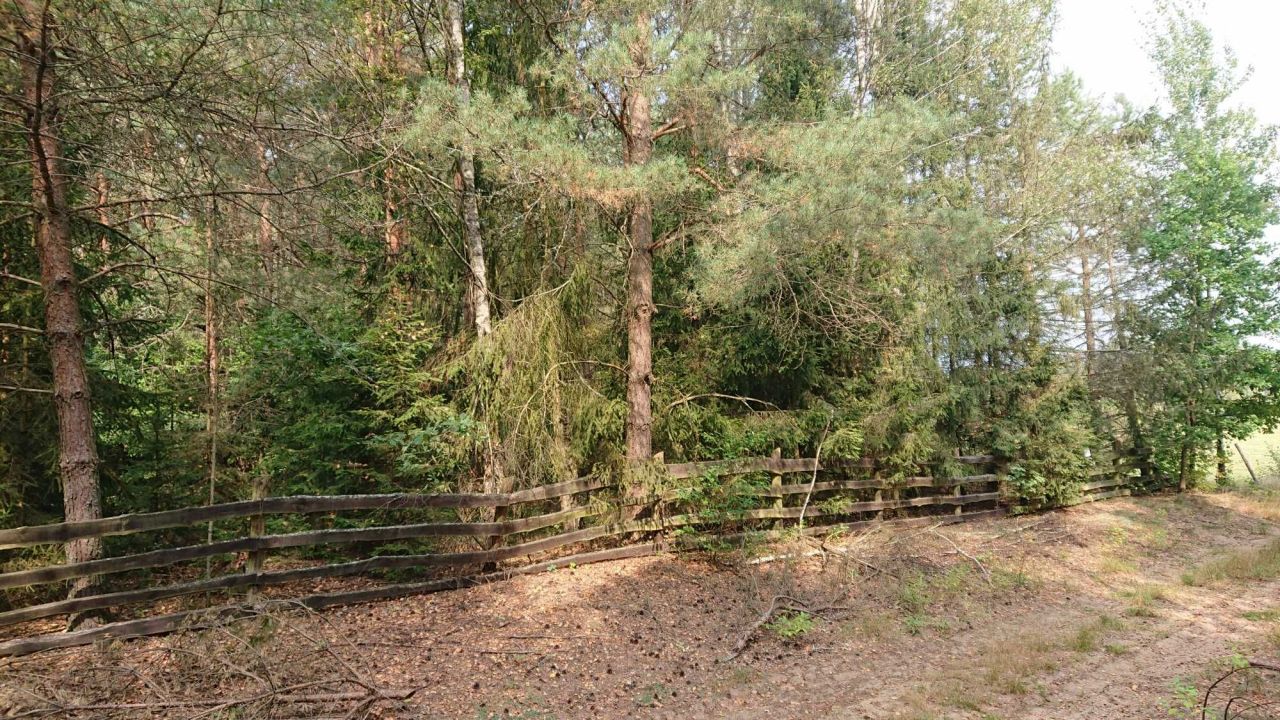 Działka budowlana Przykop. Zdjęcie 3