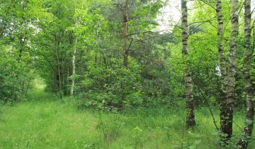 Działka rolna Gościencin