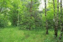 Działka rolna Gościencin. Zdjęcie 1