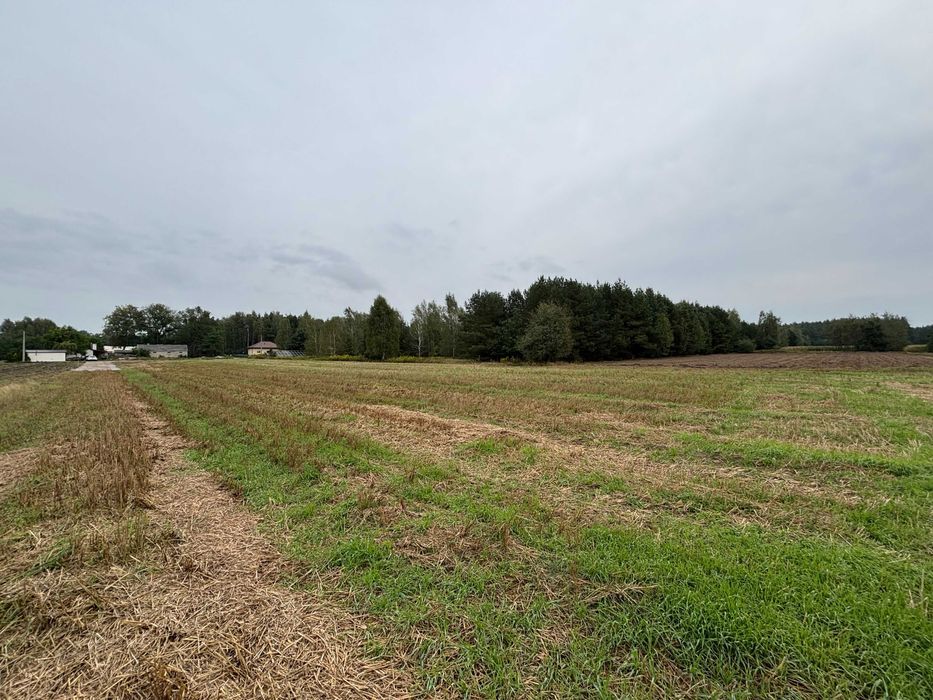 Działka budowlana Teodorów. Zdjęcie 2