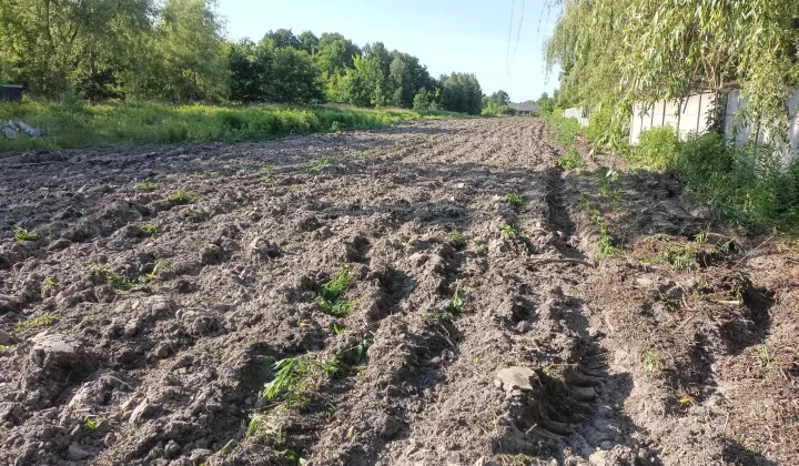 Działka budowlana Wielgolas Brzeziński, ul. Piastowska