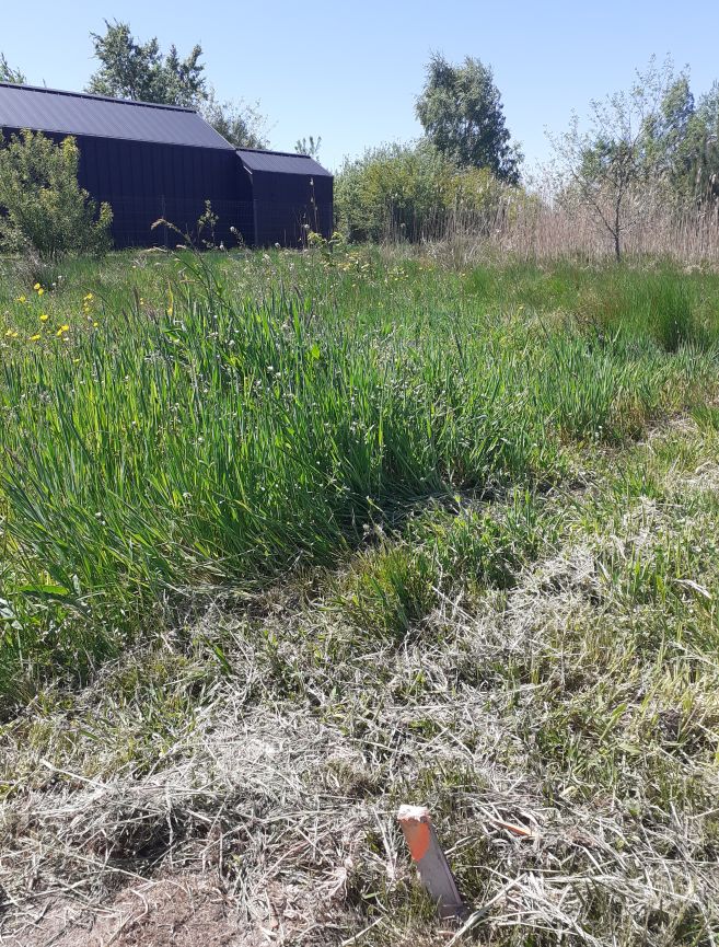 Działka rekreacyjna Ostrowo, Irysowa. Zdjęcie 6