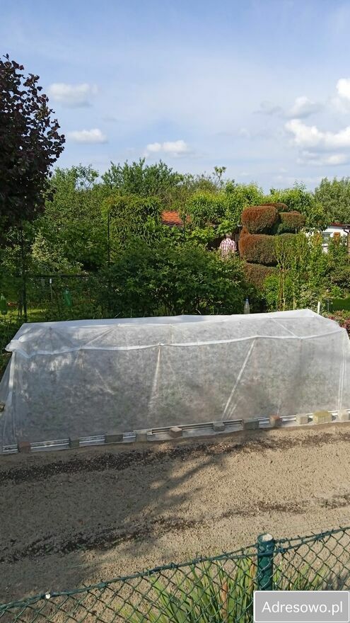 Działka rod Gorzów Wielkopolski, ul. Myśliborska. Zdjęcie 7