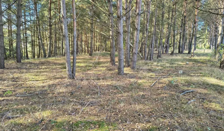 Działka budowlana Miedzno