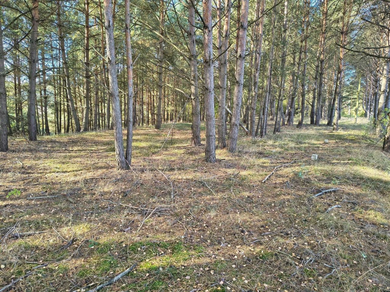 Działka budowlana Miedzno. Zdjęcie 1