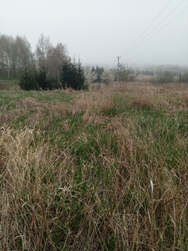 Działka inwestycyjna Świętajno. Zdjęcie 2