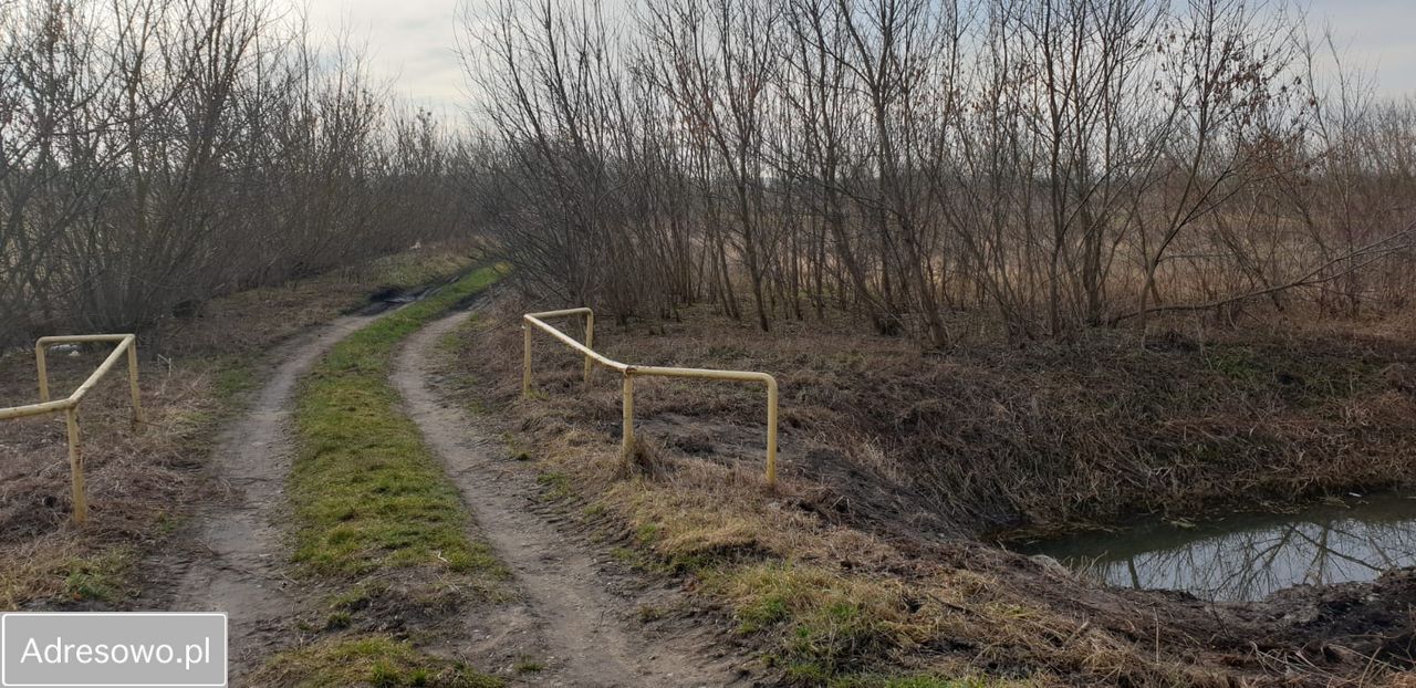 Działka rolna Łomża, ul. Grobla Jednaczewska. Zdjęcie 2