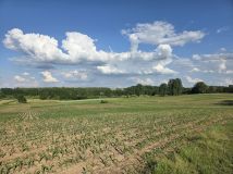 Działka rolna Kątno. Zdjęcie 3