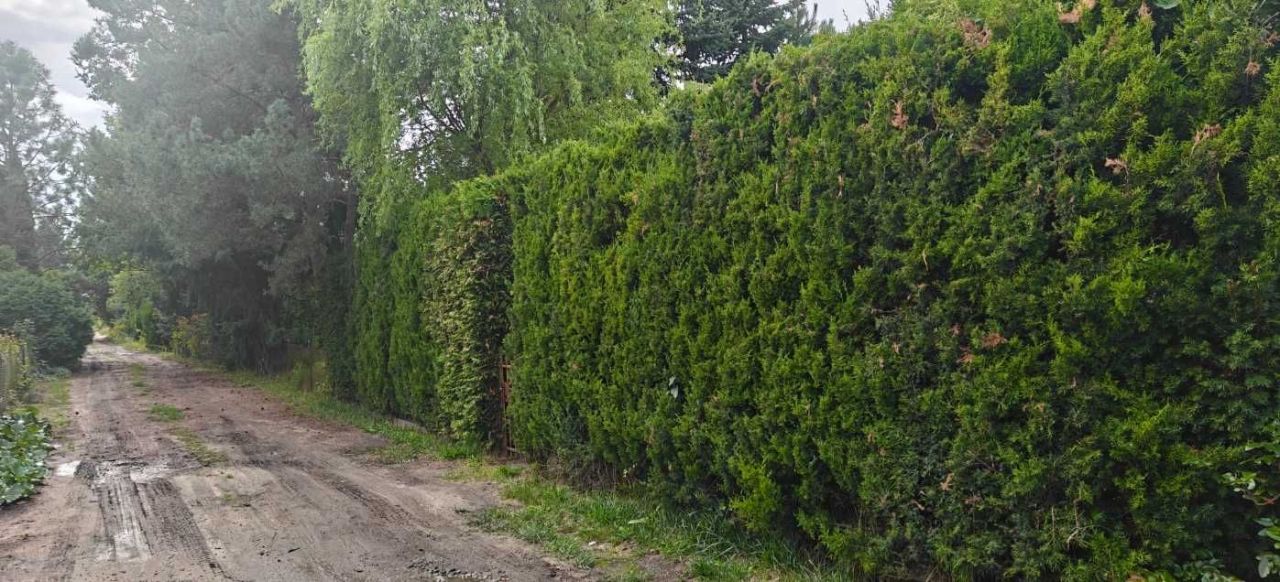 Działka rod Poznań Ławica. Zdjęcie 7
