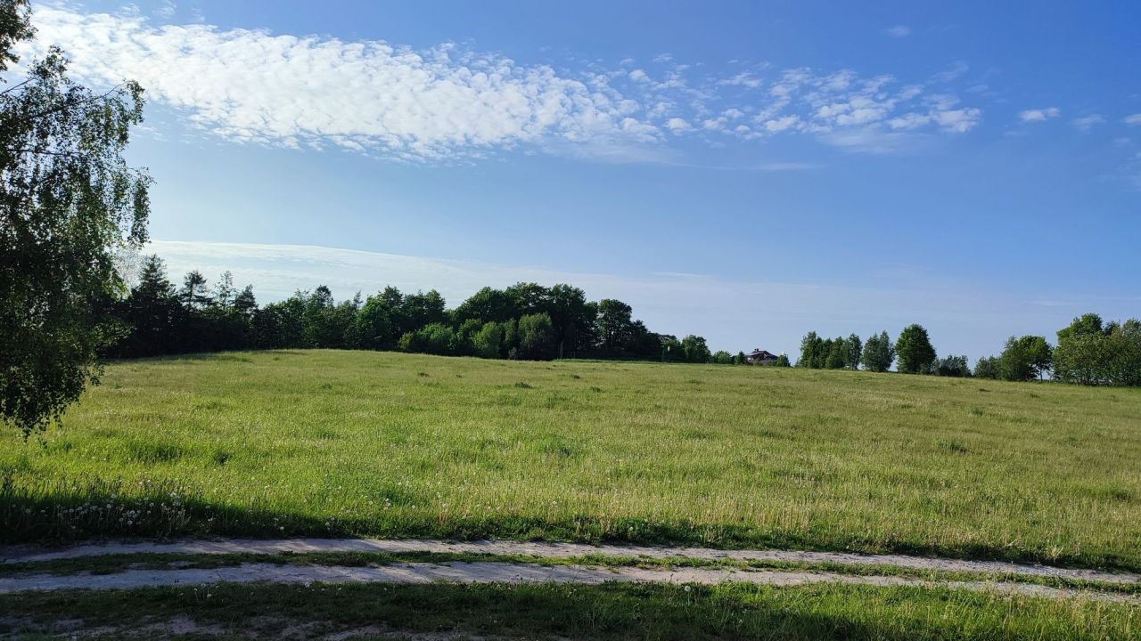 Działka rolna Stara Huta. Zdjęcie 5