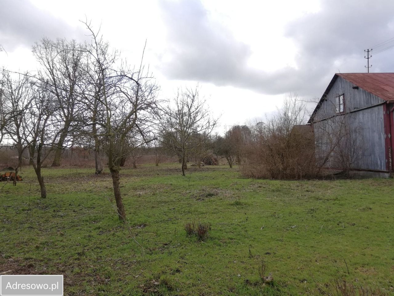 Działka siedliskowa Wola Brwileńska. Zdjęcie 2