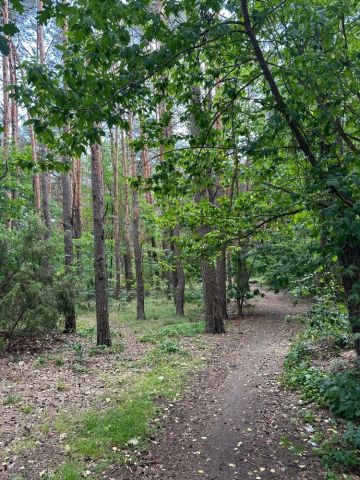 Działka leśna Józefów Michalin, ul. Graniczna. Zdjęcie 1