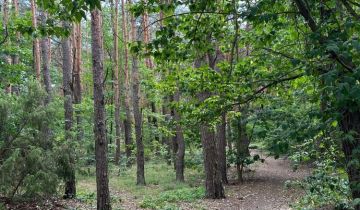 Działka leśna Józefów Michalin, ul. Graniczna