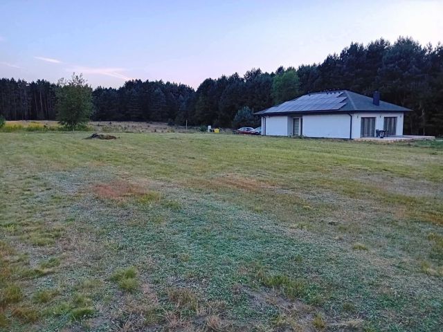 Działka rolno-budowlana Kaszewice-Kolonia. Zdjęcie 1