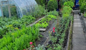 Działka rod Poręba, ul. Fryderyka Chopina