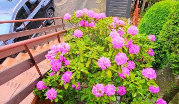 dom szeregowy, 4 pokoje Ruda Śląska Wirek, ul. Oskara Kolberga