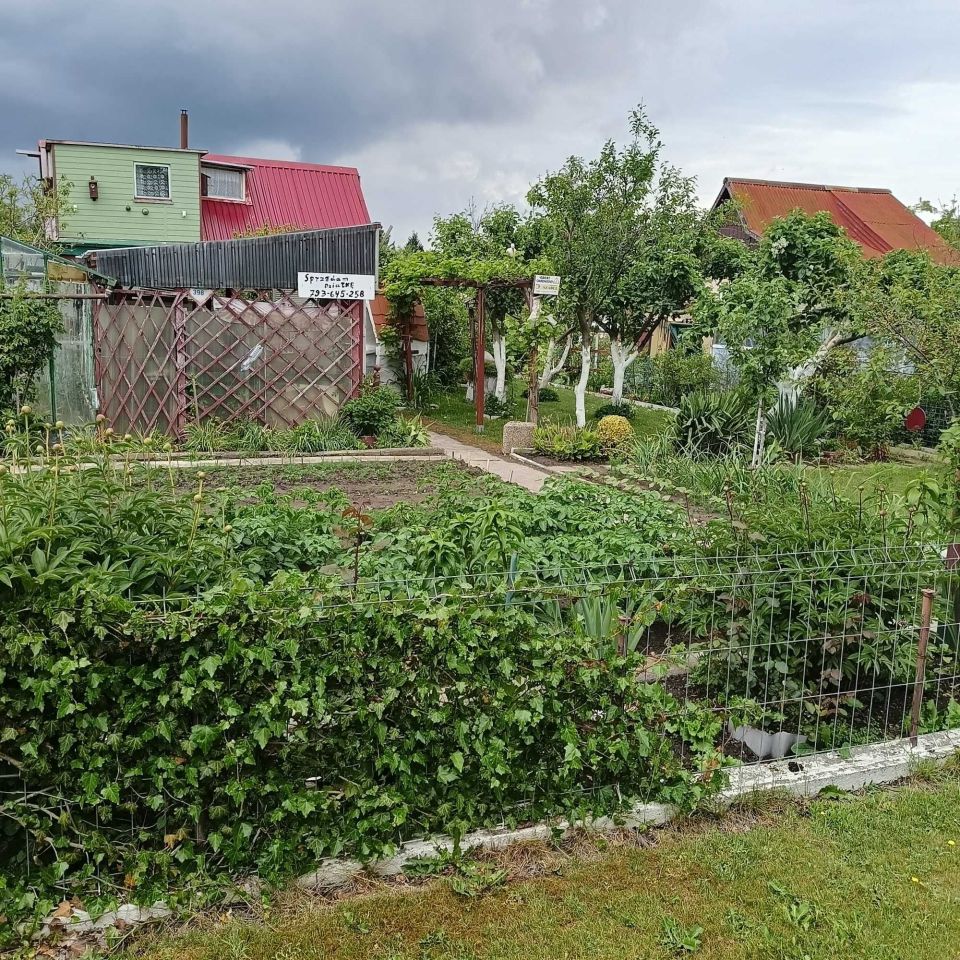 Działka rod Koszalin Jamno. Zdjęcie 2