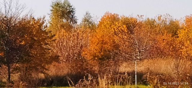 Działka budowlana Radomsko. Zdjęcie 1