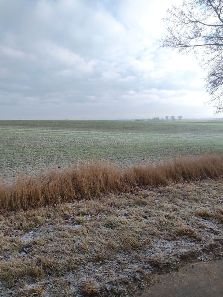 Działka inwestycyjna Porażyn. Zdjęcie 2