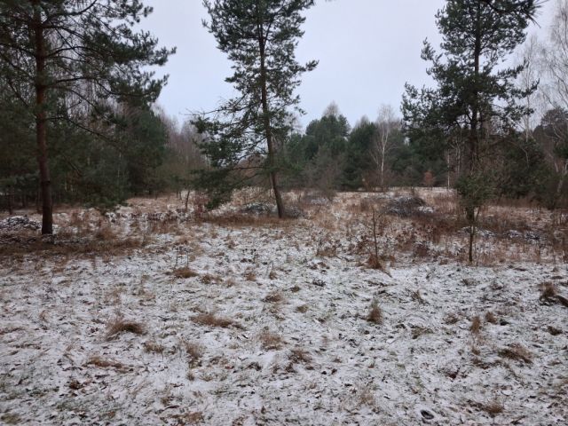 Działka rolna Stanisławów. Zdjęcie 1