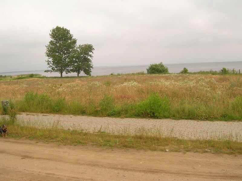 Działka rolno-budowlana Swarzewo, ul. Rybacka. Zdjęcie 3