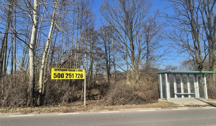 Działka rolna Secymin Polski
