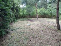 Działka budowlana Marylka, ul. Sosny. Zdjęcie 2