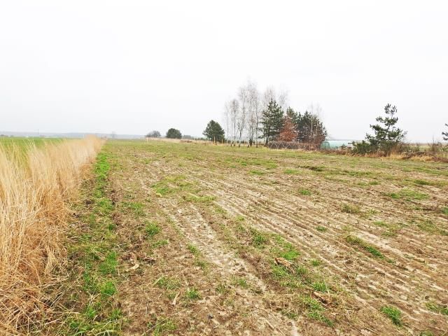 Działka rolna Ożarowice, ul. Tarnogórska. Zdjęcie 1