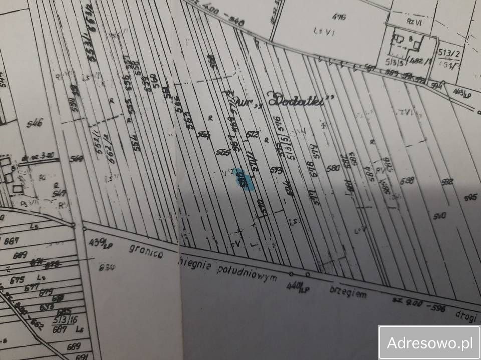 Działka leśna Wojciechów. Zdjęcie 2